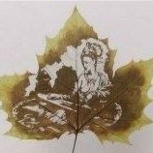 Meet your Posher, Abricot